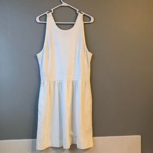 Fit & Flare Madewell Dress (New)